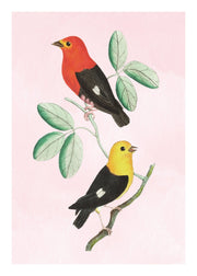 Birds on a Branch, Poster - Made of Sundays