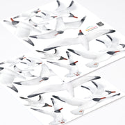 Black-Headed Seagulls Bird Wall Stickers - Wallpaper Stickers by Made of Sundays