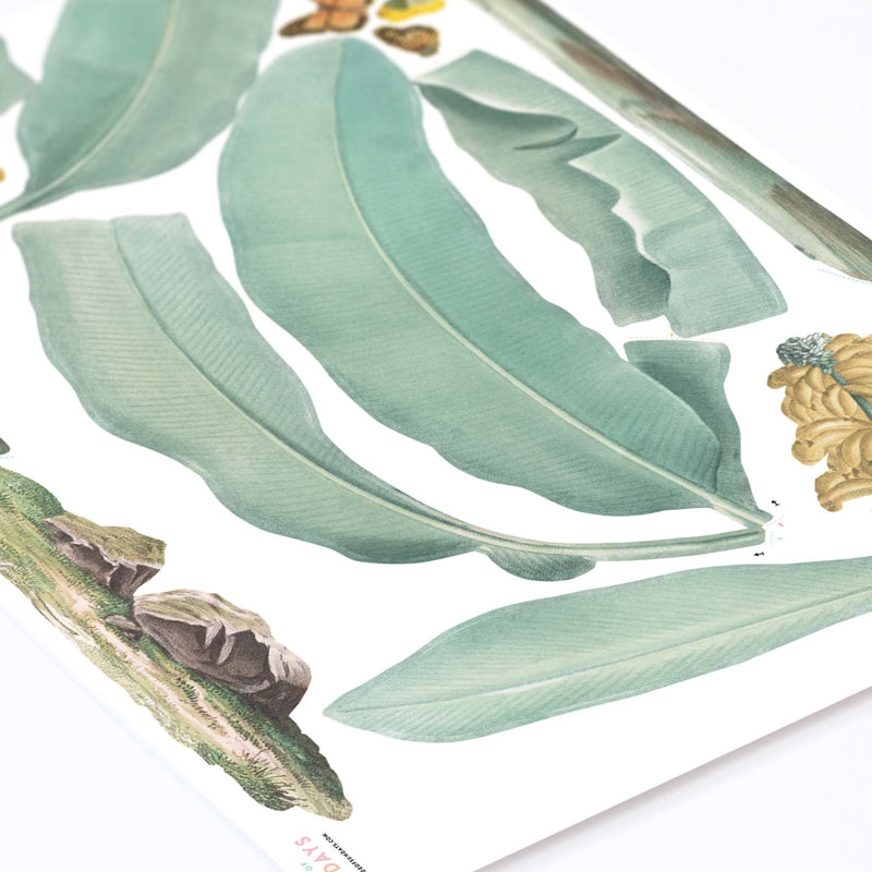 Botanical Palm Jungle Wall Stickers - Made of Sundays
