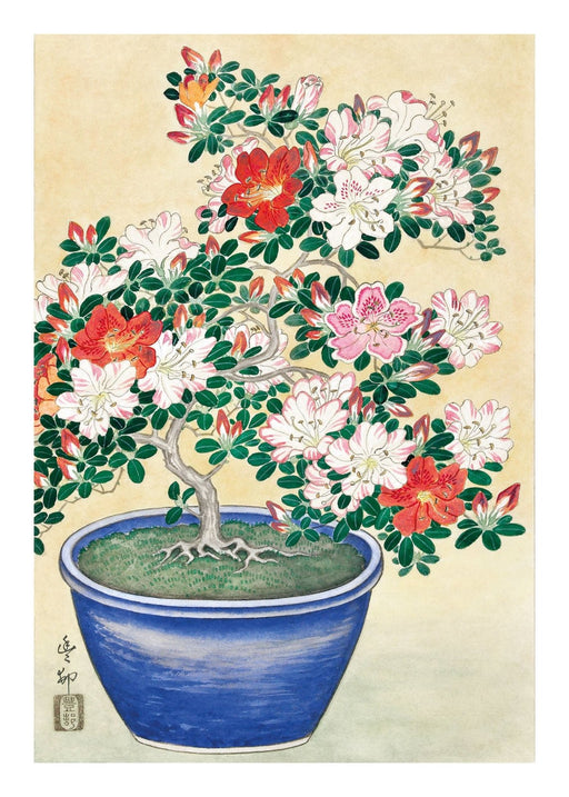 Japanese Azalea, Poster - Made of Sundays