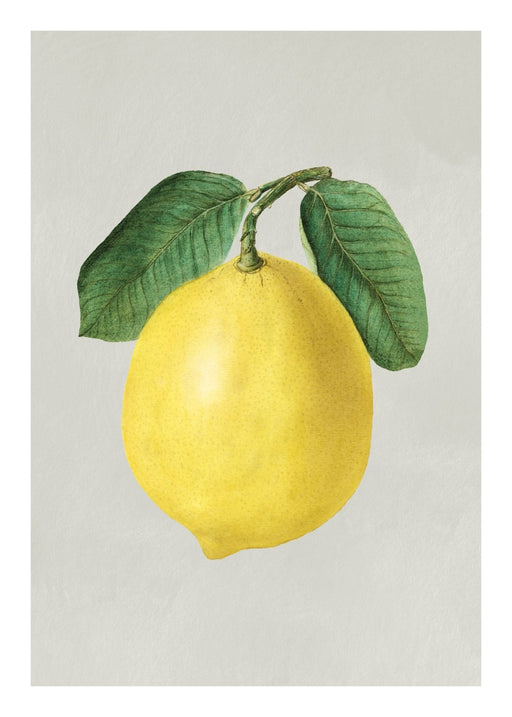 Lemon Poster - Made of Sundays