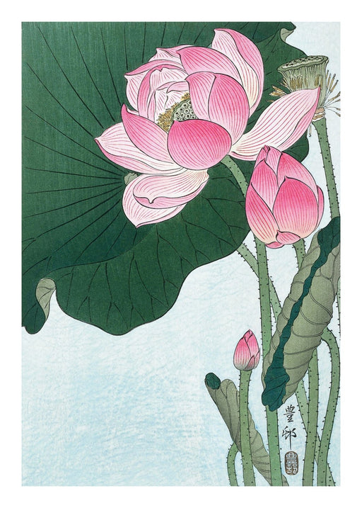 Lotus Flower, Poster - Made of Sundays