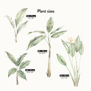 Lush Jungle Plants and Parrots Wall Stickers, plastic-free wall decals for easy home decor - Made of Sundays