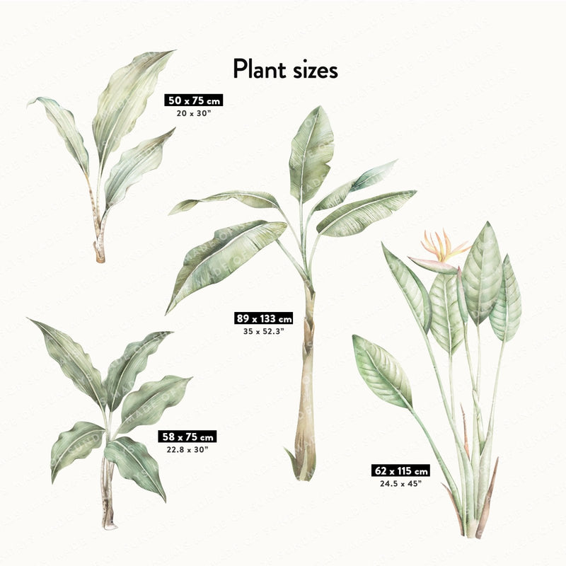 Lush Jungle Plants and Parrots Wall Stickers, plastic-free wall decals for easy home decor - Made of Sundays