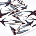Swallows & Clouds Wall Sticker Themepack, wall decals by Made of Sundays