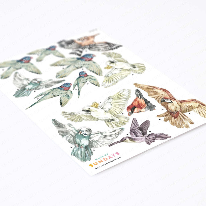 Stickers muraux jungle oiseaux tropicaux