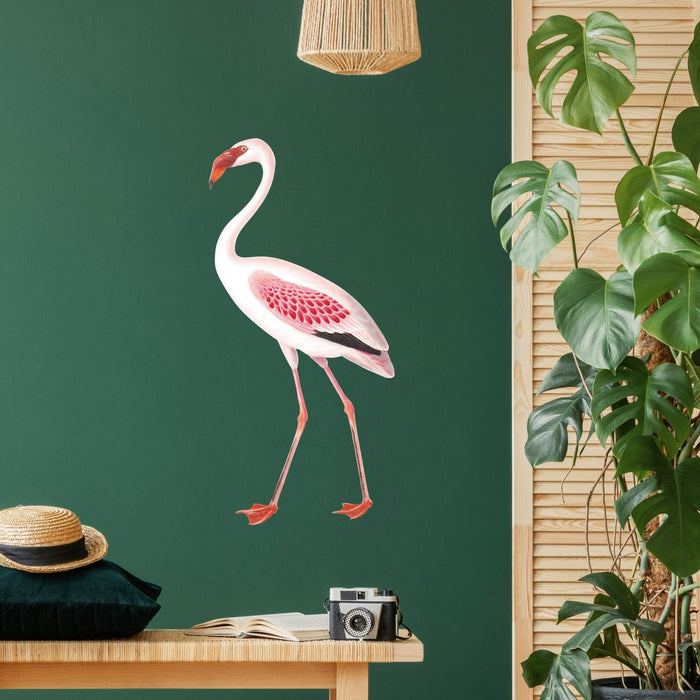 Vintage Flamingo Wall Sticker, wall decals by Made of Sundays