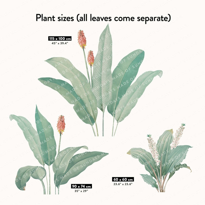 Autocollants Muraux Feuilles de Palmier Botaniques