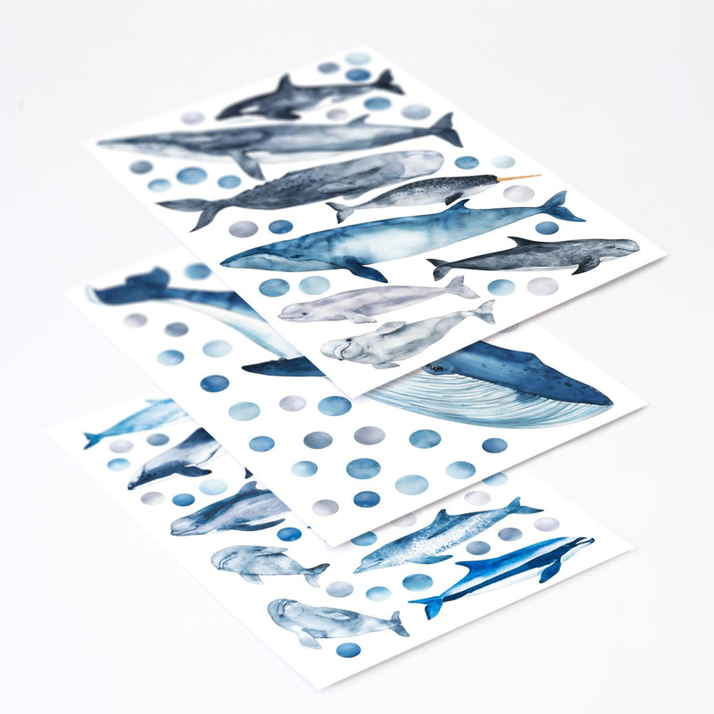 Whales and Dolphins Wall Stickers, Sea Theme Pack, wall decals by Made of Sundays