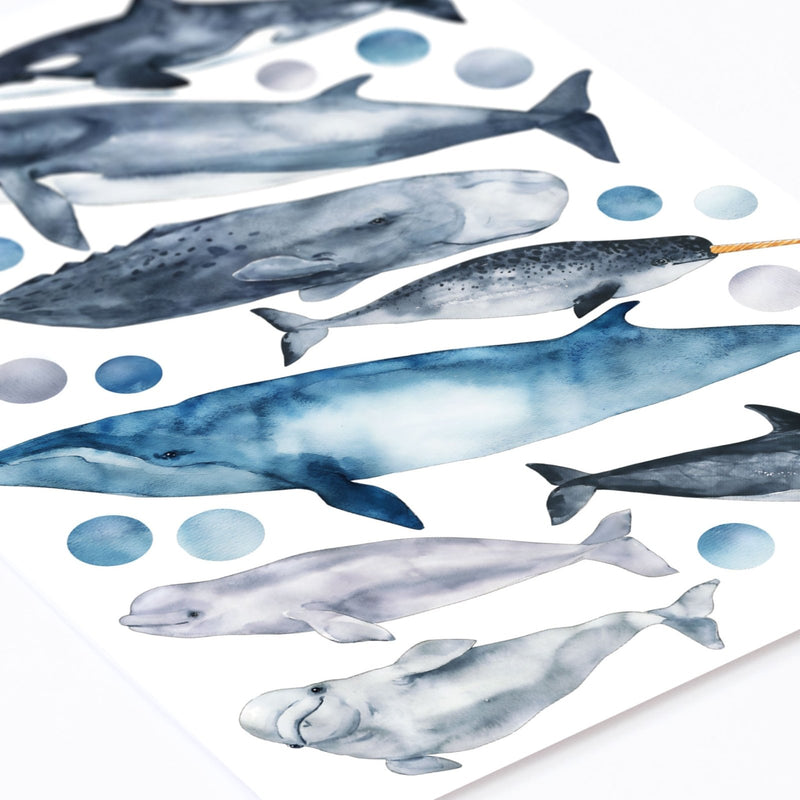 Whales and Dolphins Wall Stickers, Sea Theme Pack, wall decals by Made of Sundays