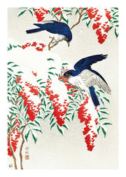 Winter Birds, Poster - Made of Sundays